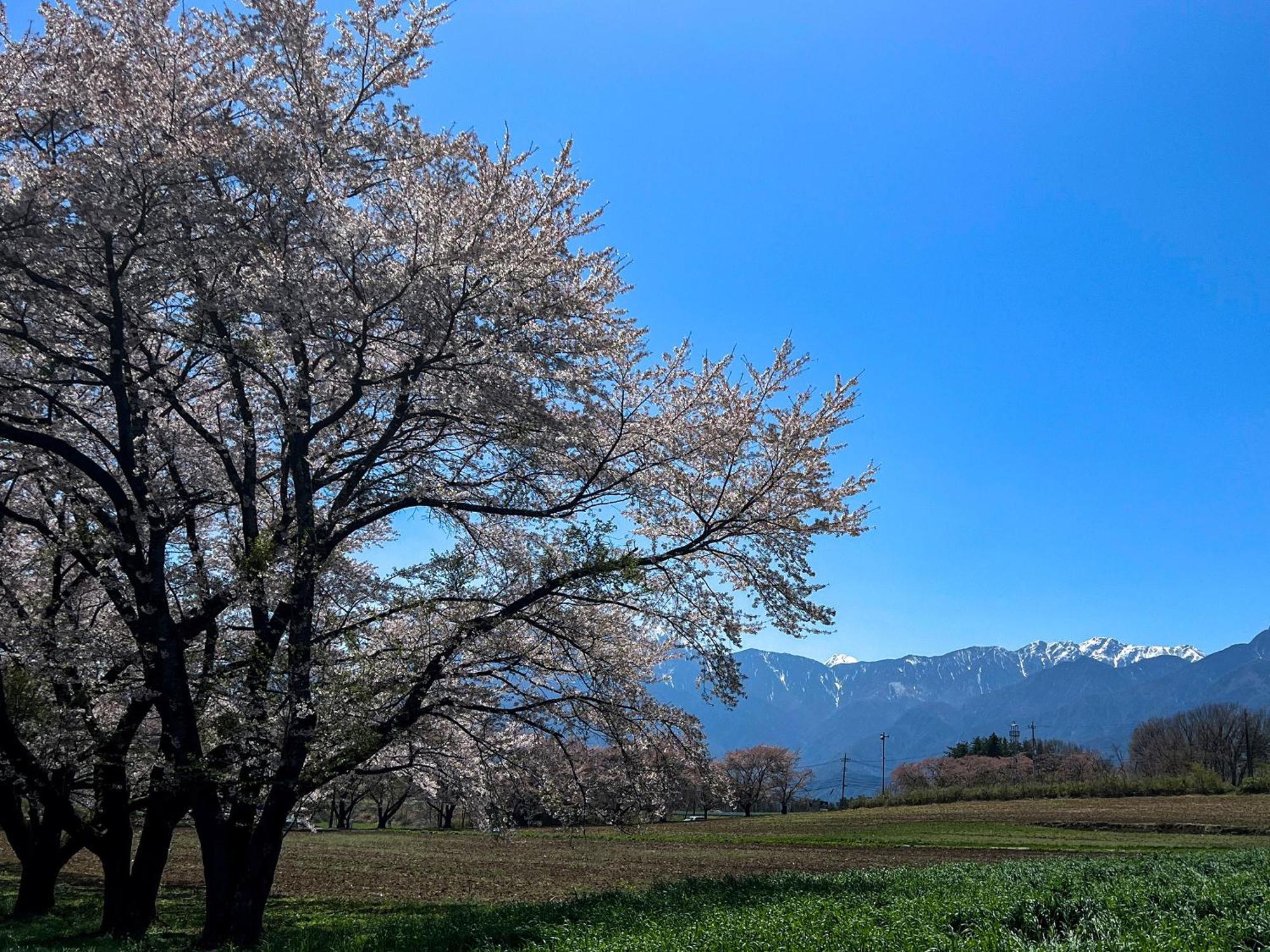 Rakuten Stay Villa Yatsugatake Hokuto  Bagian luar foto